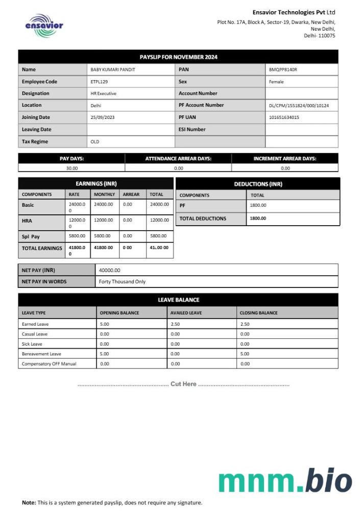 Szablon listy płac Ensavior Technologies w formatach Word i PDF